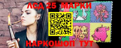 амф Кимры