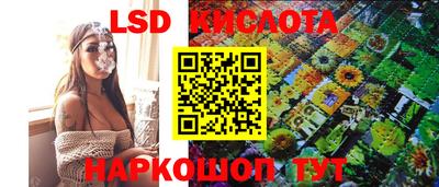 амф Кимры