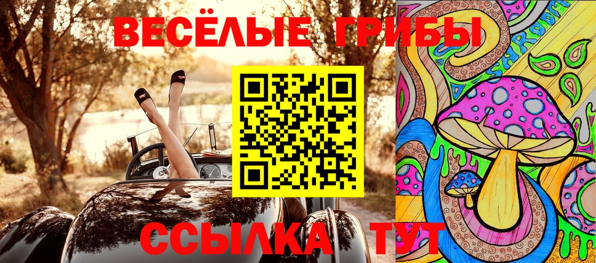 Карпинск  Галлюциногенные грибы GOLDEN TEACHER  Вход с VPN 